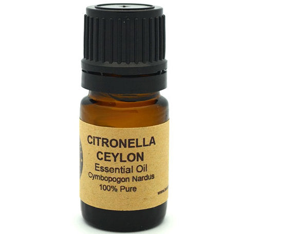 Citronella Ätherisches Öl (Ceylon) 15 ml – 100 % Naturrein